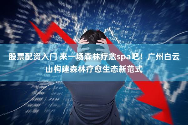 股票配资入门 来一场森林疗愈spa吧！广州白云山构建森林疗愈生态新范式