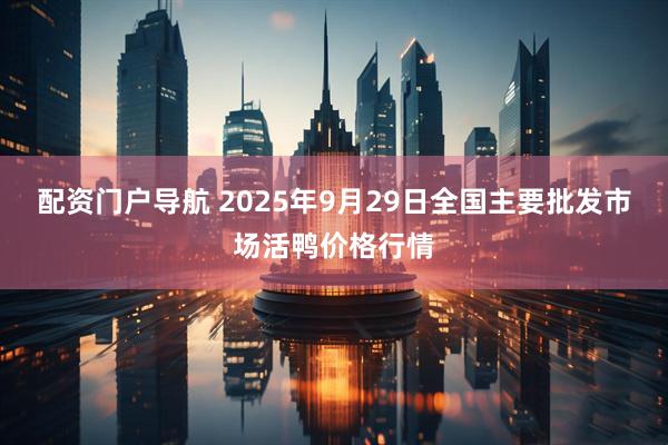 配资门户导航 2025年9月29日全国主要批发市场活鸭价格行情