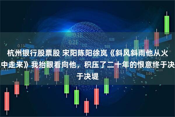 杭州银行股票股 宋阳陈阳徐岚《斜风斜雨他从火光中走来》我抬眼看向他，积压了二十年的恨意终于决堤